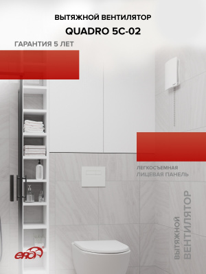 Анемостат АПВП1 D110 регулируемый D166 пластик ERA